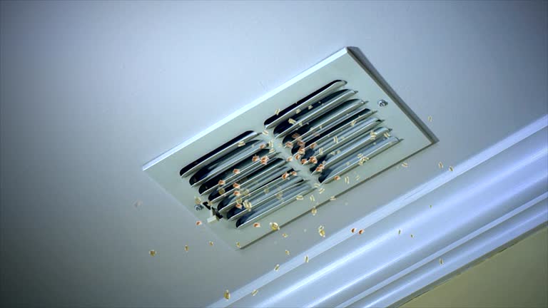 Best Ductwork Cleaning Services  in Winnebago, IL