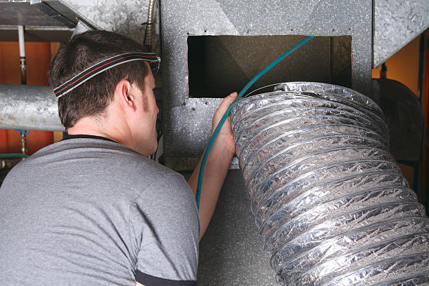Best Air Duct Sanitizing Services  in Winnebago, IL