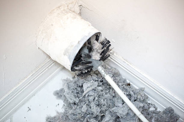 Best Ventilation Cleaning Services  in Winnebago, IL
